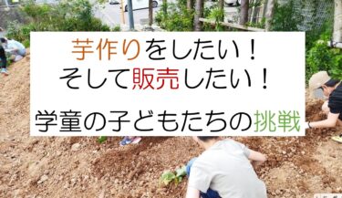 芋作りに挑戦して販売したい⁉学童保育の実践を紹介します！