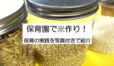 保育園で米作り を体験！保育の実践紹介