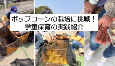 ポップコーンの栽培に挑戦【学童保育実践】