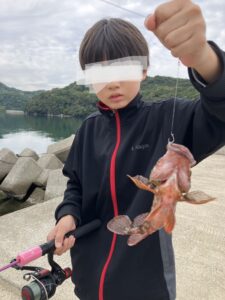 魚探し