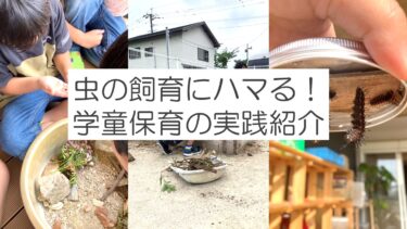 虫の飼育にハマる！学童保育の実践紹介