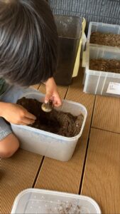 カブトムシの幼虫を見る子