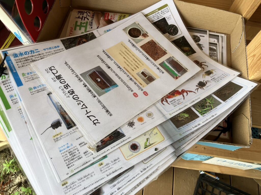 虫の飼育に関する資料