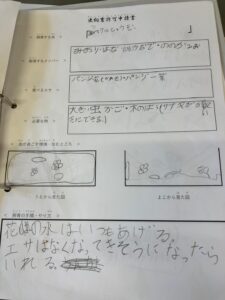 スマグロヒョウモンの飼育方法