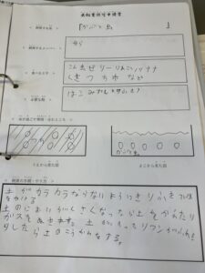 カブトムシの飼育申請書