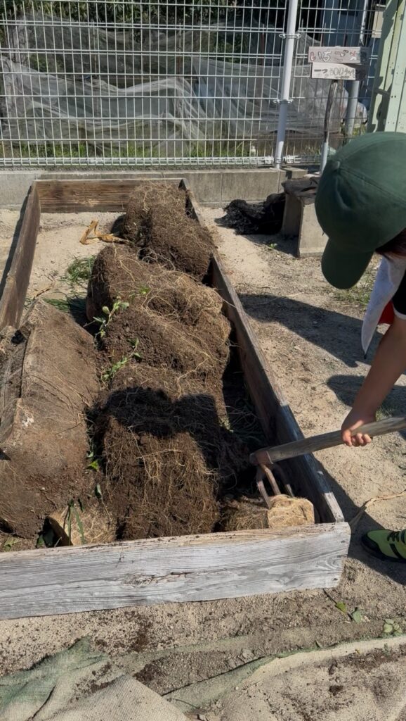 畑を耕す子ども