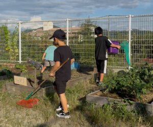 害虫駆除をする子どもたち