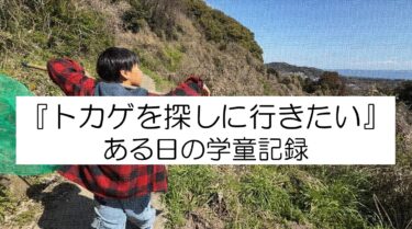 トカゲを探しに行きたい！学童の保育実践記録